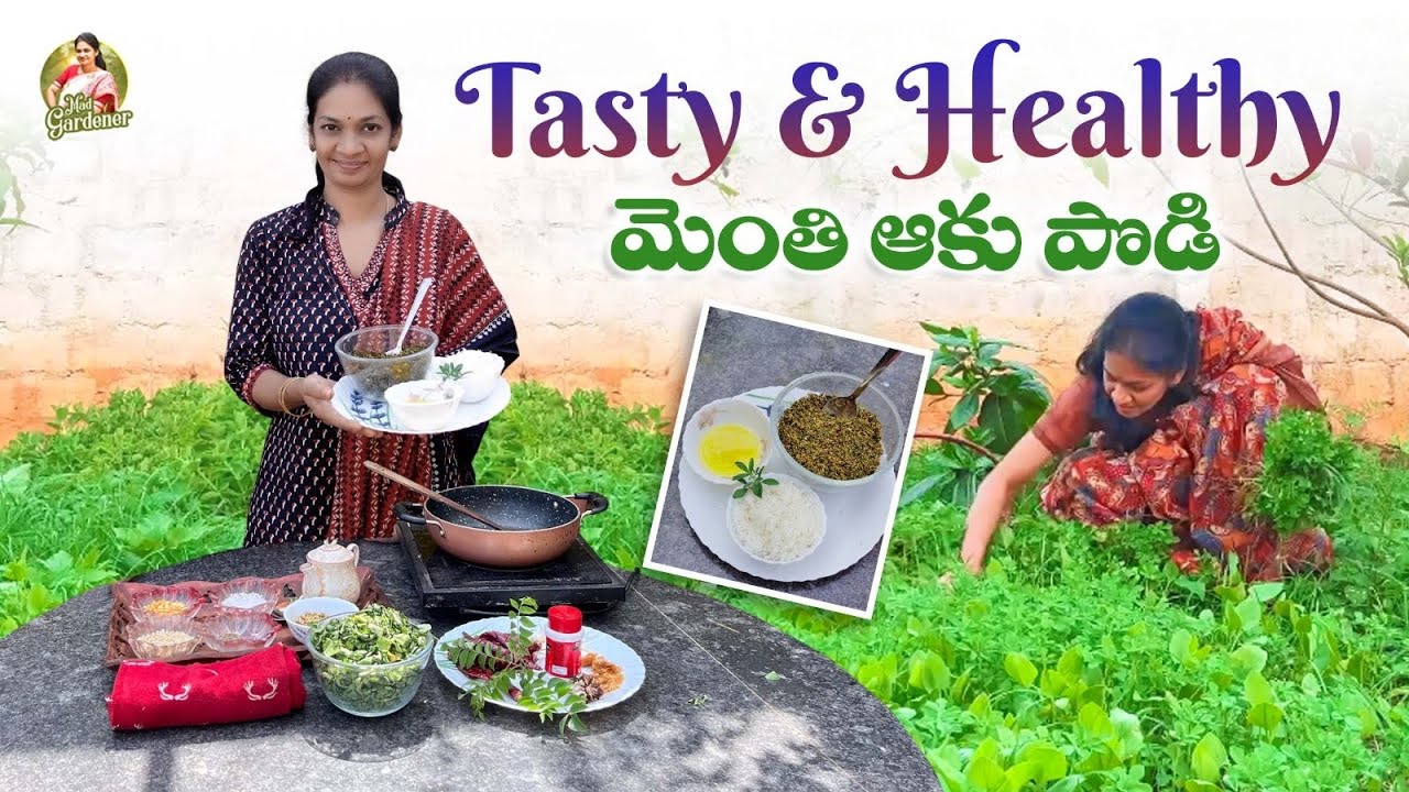 Methi Podi/ఈ సారి మెంతికూర ఎక్కువ ఉన్నప్పుడు ఇలా పొడి చేసి చూడండి  @MADGARDENER
