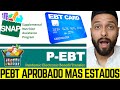 ULTIMO MOMENTO APROBADO P-EBT | PAGOS MENSUALES POR SU HIJO PARA TODO EL AÑO | PEBT 2022 |