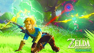 BotW Randomizer Goals are RIDICULOUS