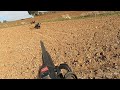 Veyron ile azılı yaban domuzu avları / Wild Boar hunting