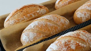 NoKnead / How To Make Perfect Whole Wheat French Rolls