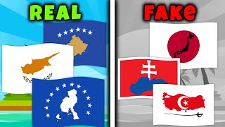 Flags with Maps - Real or Fake? | Facts about flags
