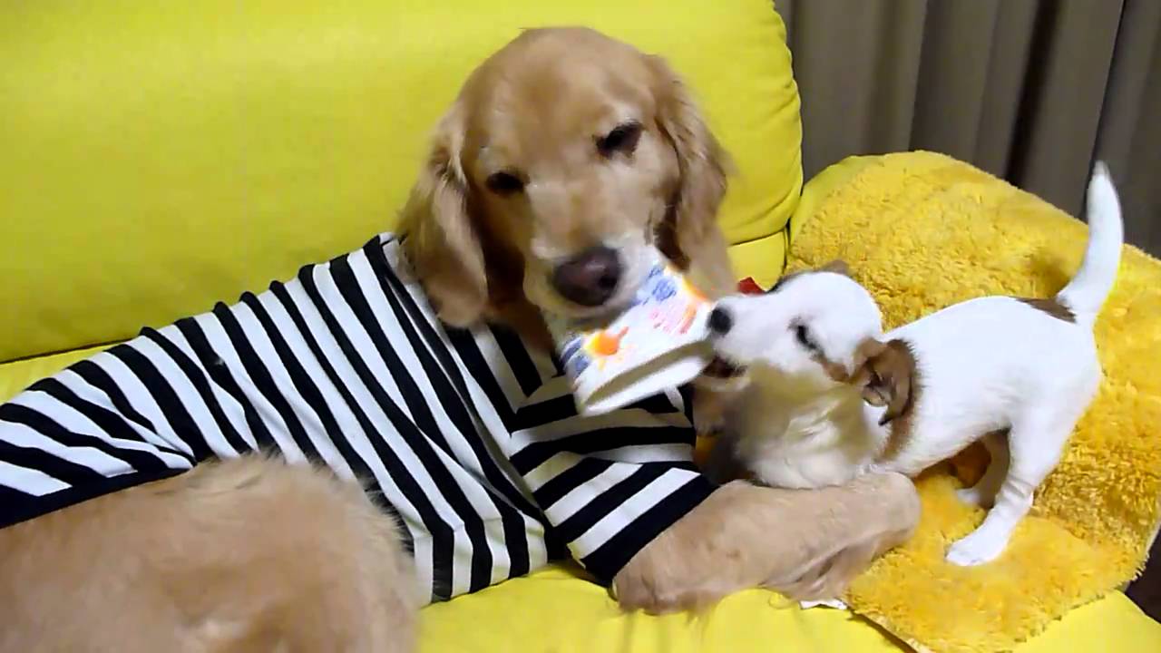 けてません(・・;)