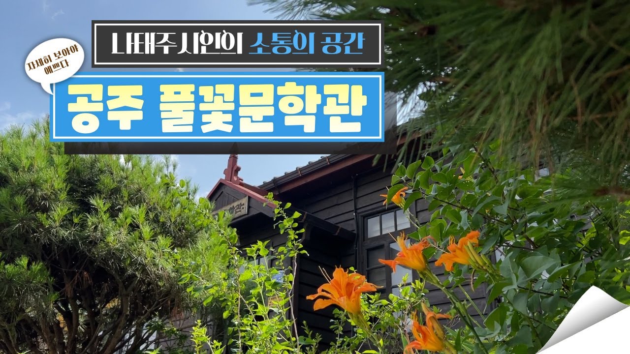 나태주 시인의 공간, 공주 풀꽃문학관
