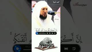 الشيخ ماهر المعيقلي تلاوات خاشعة