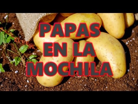 Papas en la mochila - Historia de reflexión