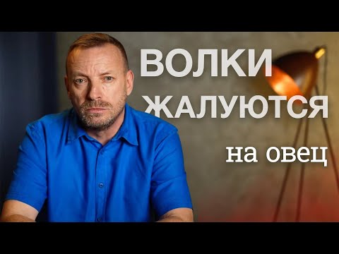 За что несут ответственность агенты РАЦИРС в чешских и словацких СМИ?