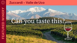 The Extreme Andes Mountains in a Glass of Wine 🍷. Inside Zuccardi's Precision Winemaking