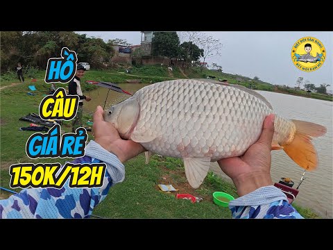 Hồ Bán Tự Nhiên 150k/12h Liệu Có Dễ Câu?