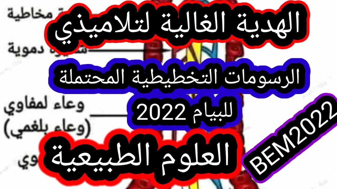 رسومات تخطيطية محتملة للبيام 2022 المادة العلوم الطبيعية