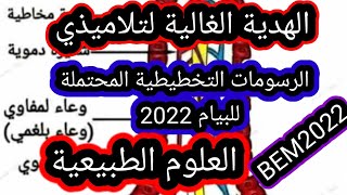 رسومات تخطيطية محتملة للبيام 2022 المادة العلوم الطبيعية