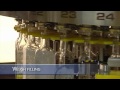 Olive oil - Filling and capping machine - Olive oil in glass bottles - Serac