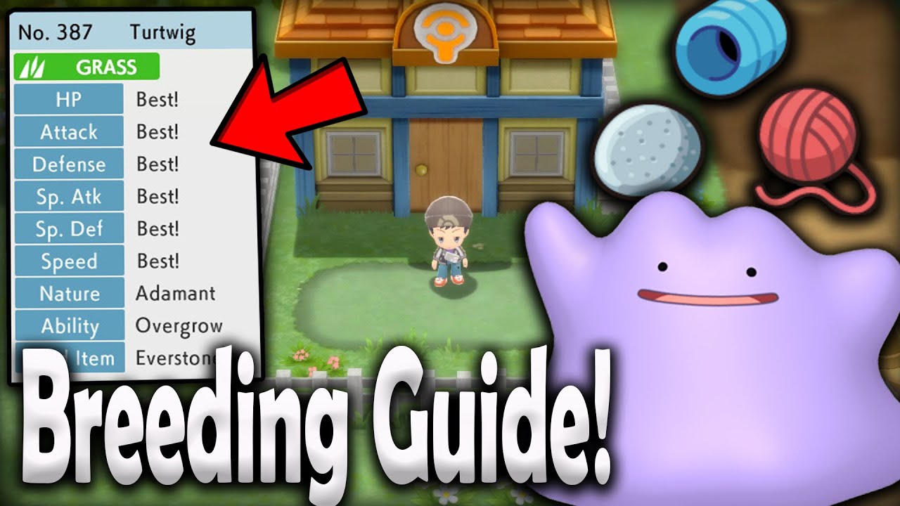 BREEDING GUIDE: Natures, Perfect IV's, Hidden Ability! | Pokemon Brilliant Diamond and Shining Pearl