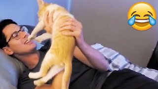 Super Angry Cats Responses  Funny Pets Reaction Try Not To Laugh || PETASTIC