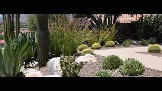 Landscaping Company & Cost in Edinburg McAllen TX  | Handyman Services of McAllen