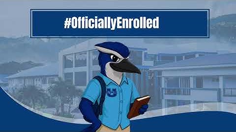 Online Enrolment (2024)