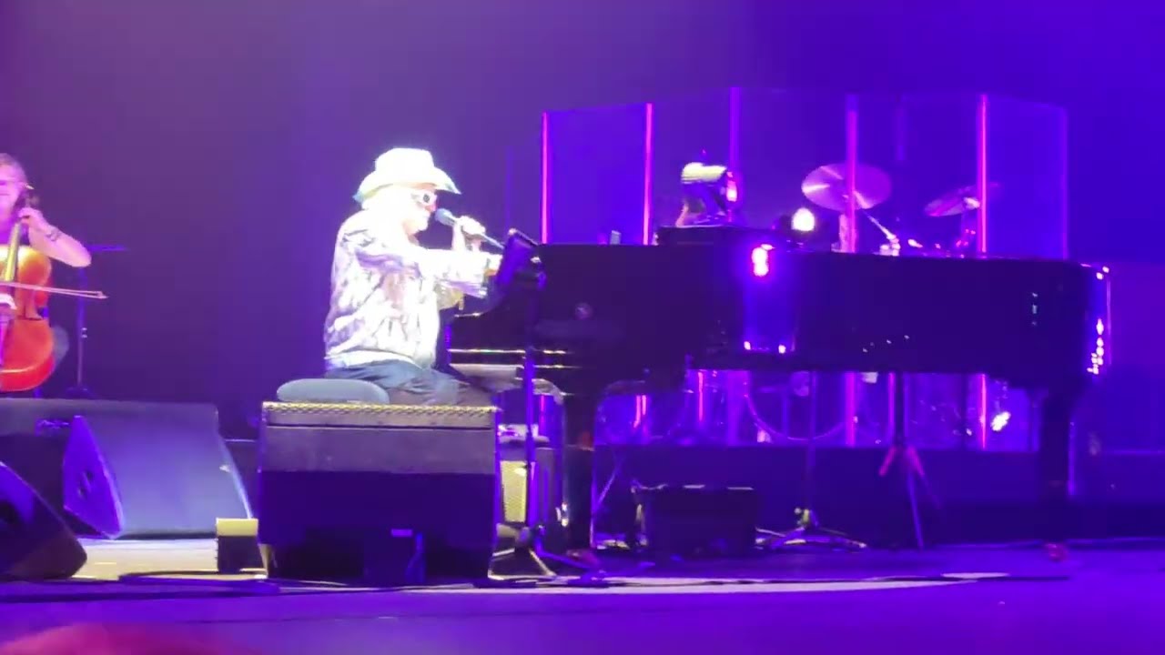 Michel POLMAREFF chante 