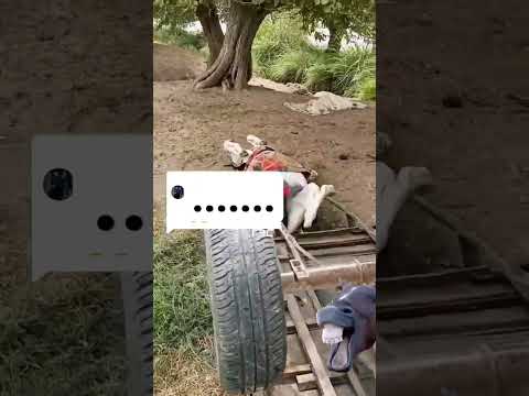 Дар холати масти