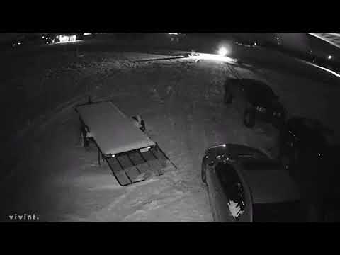 Mysterious 3 wheeler hooligan.