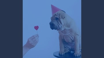 Pulsating Moods for Dog Training Day