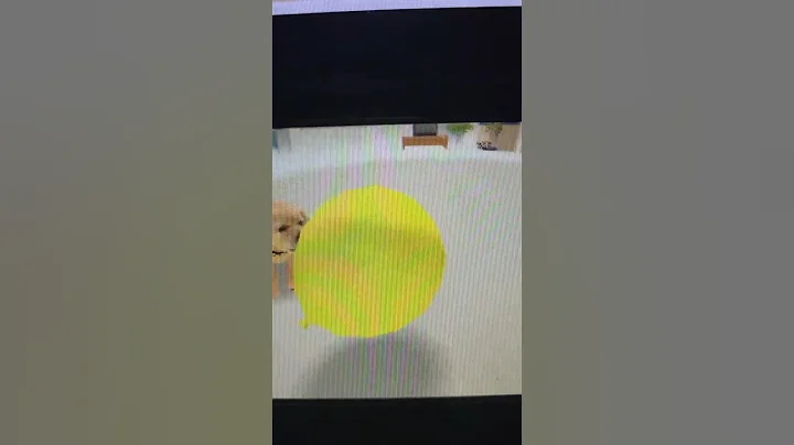 MY NINTENDOGS PLAYS WITH A BALLOON #nintendogs #nintendods #shorts #blackdragon2