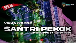 DJ SANTRI PEKOK VIRAL STYLE MARGOY 2023