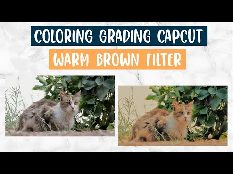 Color grading filter capcut warm brown 🤎