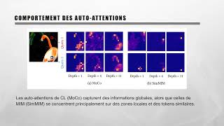 What Do Self-Supervised Vision Transformers Learn