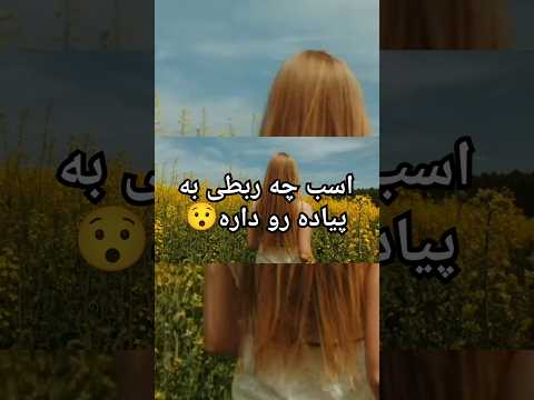 معنی لغوی کلمه پیاده رو در زبان فرانسه میشه محل یورتمه رفتن می دونی چرا فرانسوی آموزش زبان