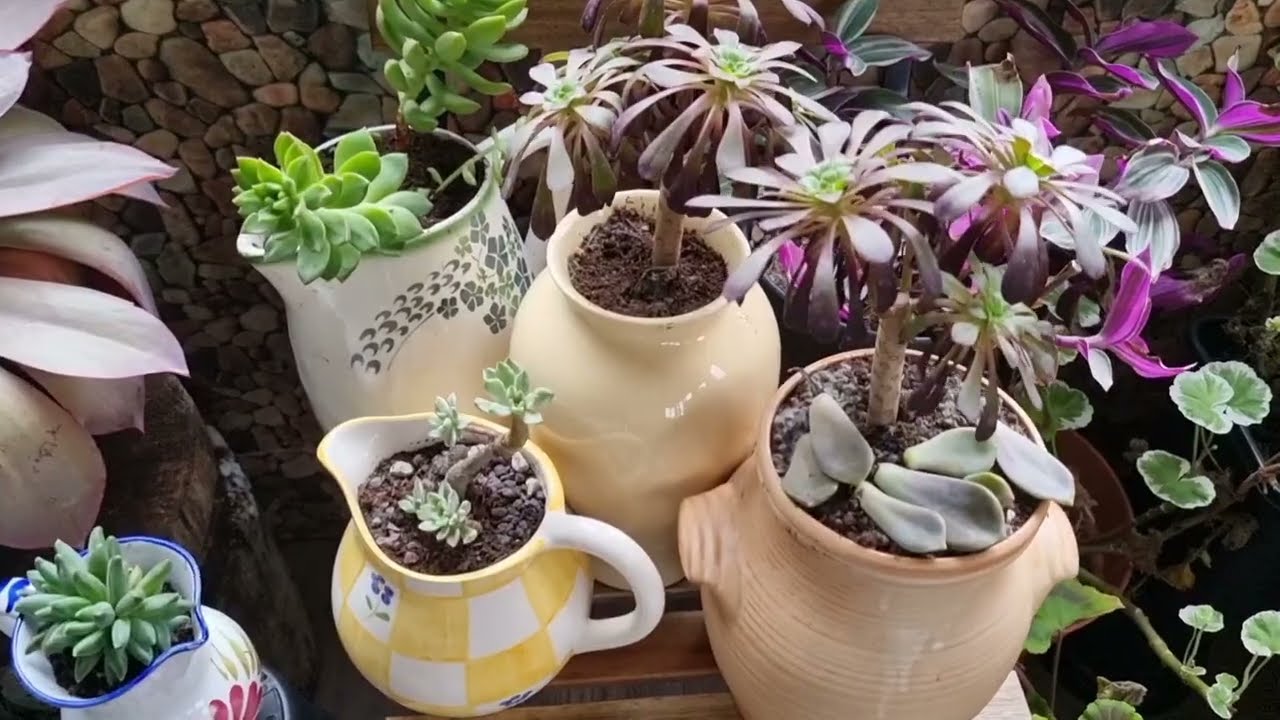 Belçikada bahçemde tur yapalım