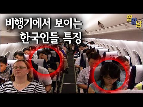 비행기에서 한국인들만 하는 행동