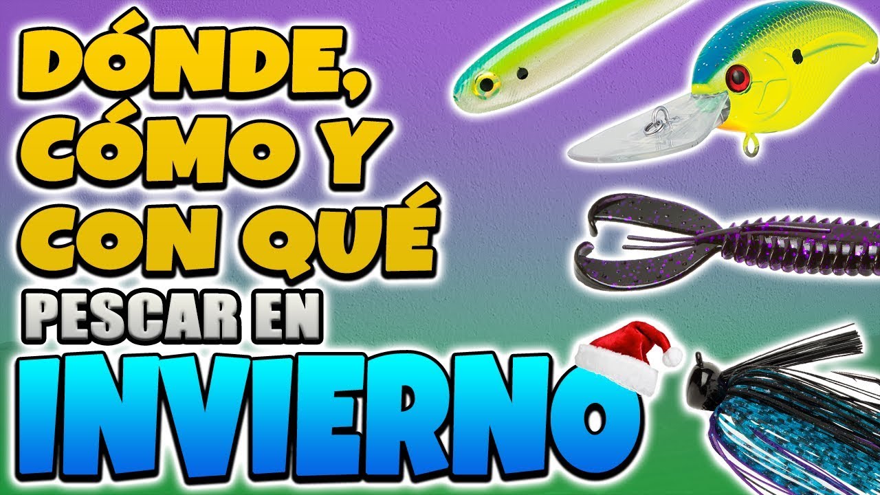 Cómo pescar lobinas en Invierno 2018 (técnicas y señuelos)