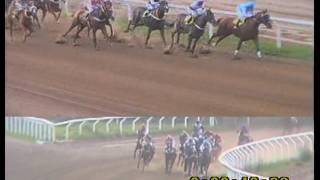 9a Carrera Premio Gral José de San Martín Ganó Tempo Quente 28 08 2016