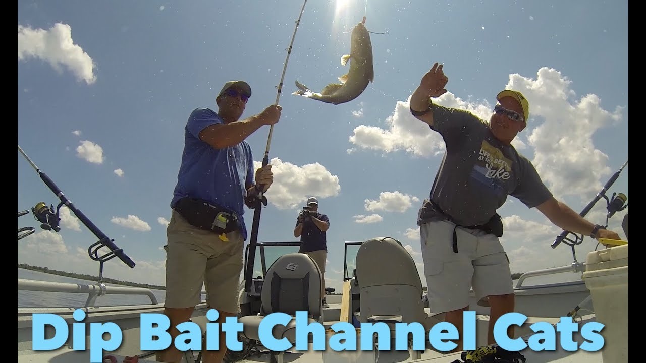 Catching Channel Catfish on Secret 7 Cheese Bait YouTube
