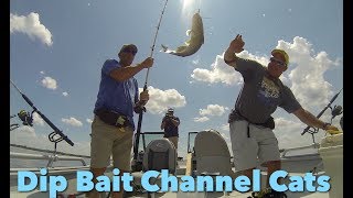 Catching Channel Catfish on Secret 7 Cheese Bait 