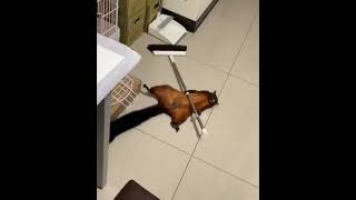 Ay Kız Bak Bayıldım Bizde Yalan Yok Inanmaz Isen Sona Bak.