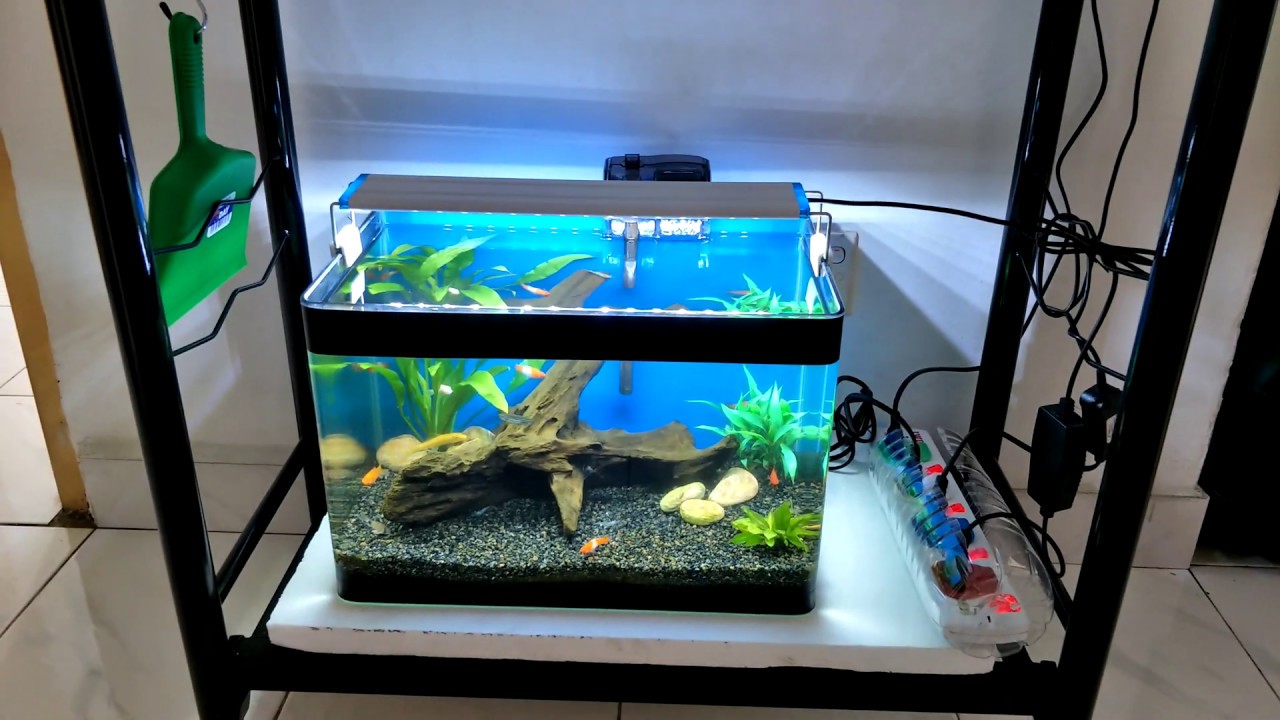 Simple & Low Tech Aquarium Setup YouTube