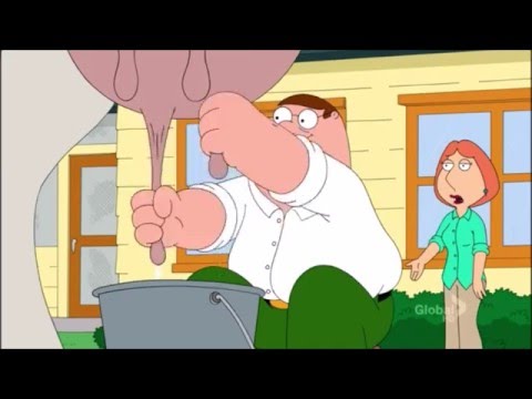 Family Guy Peter - Redbull FTW YouTube