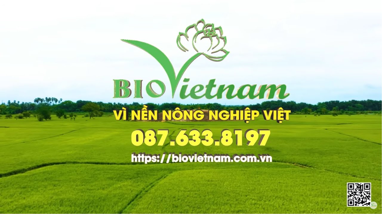 Bio Chè Gốc Phân Bón Hàng Đầu Dành Cho Cây Chè
