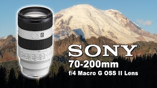 Sony 70-200mm F4 Macro G OSS II - 61MP Image Quality Test