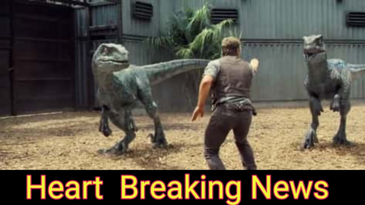 "Chris Pratt 'Heartbroken' After Tragic Death of 'Jurassic World' Stunt