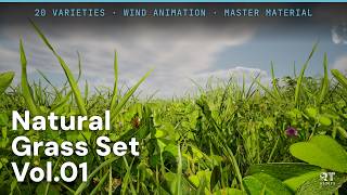 Natural Grass Set Vol.01 | UE5.4+