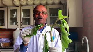 CPD-ITMS PROGRAM  for STEM TTC  TUTORS : Trainees' Voices-HABINEZA JEAN DAMASCENE INTERVIEW