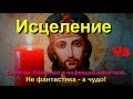 Исцеление вирусов, болезней и инфекций молитвой. Не фантастика - а чудо!