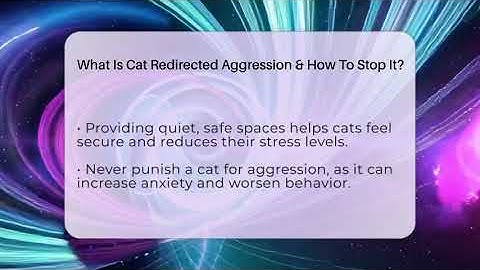 What Is Cat Redirected Aggression & How To Stop It? - Happy Cat Handbook