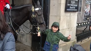 This is not Disneyland! Fed-up King's Horse Bites Tourists at Horse Guards, London by Royal Rover Tales 2,012 views 4 weeks ago 20 minutes