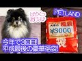 2019年平成最後の福袋！超豪華な3000円福袋を一緒に開封したポメラニアン犬【はなポメ#571】