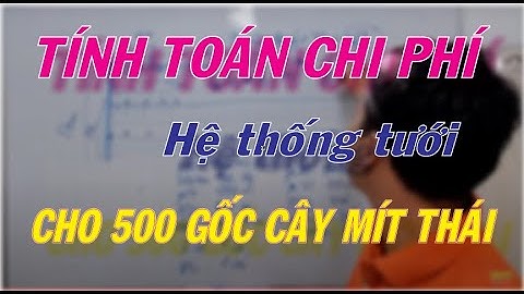 Sơ bộ tính toán chi phí hệ thống tưới cho 500 gốc mít thái siêu sớm