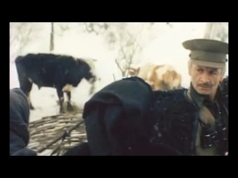 ინგა გრიგოლია - \"აფილაციაში არ არის\"