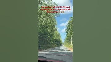 Các bạn Khỉ Rừng Sác #travel #relaxingmusic #dulich #cangio #music #short #shortvideo #30thang4